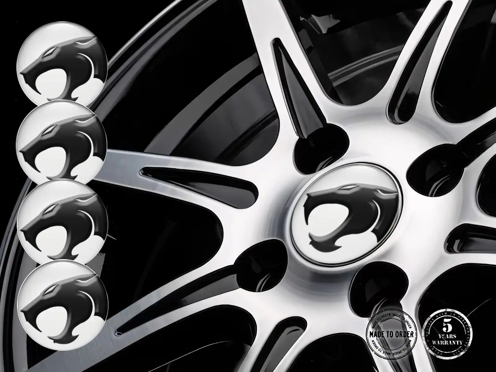 Raddekal Stil Racing Interstellar Wave